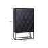 Laxon Black 2 Door Cabinet